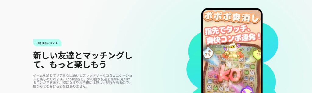 toptop-review