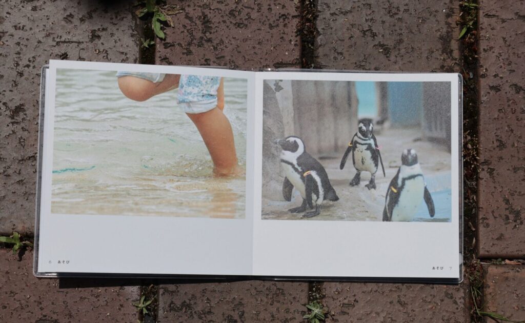 photoback-review